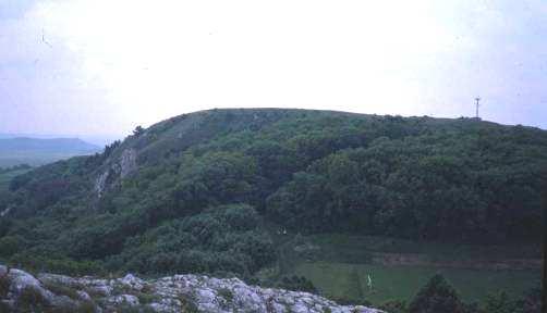 Tabulová