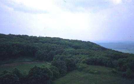 Klentnice v