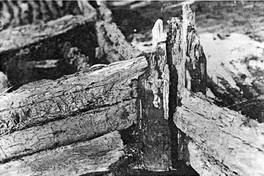 Biskupin: konstrukční detail