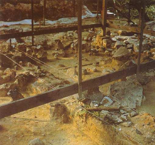 Fridricha od r. 1975. http://www.prezletice.