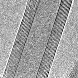 17 18 Atomic Force Microscopy Mikroskopie atomárních sil neoptická mikroskopie dokáže zobrazit 3D model povrchu