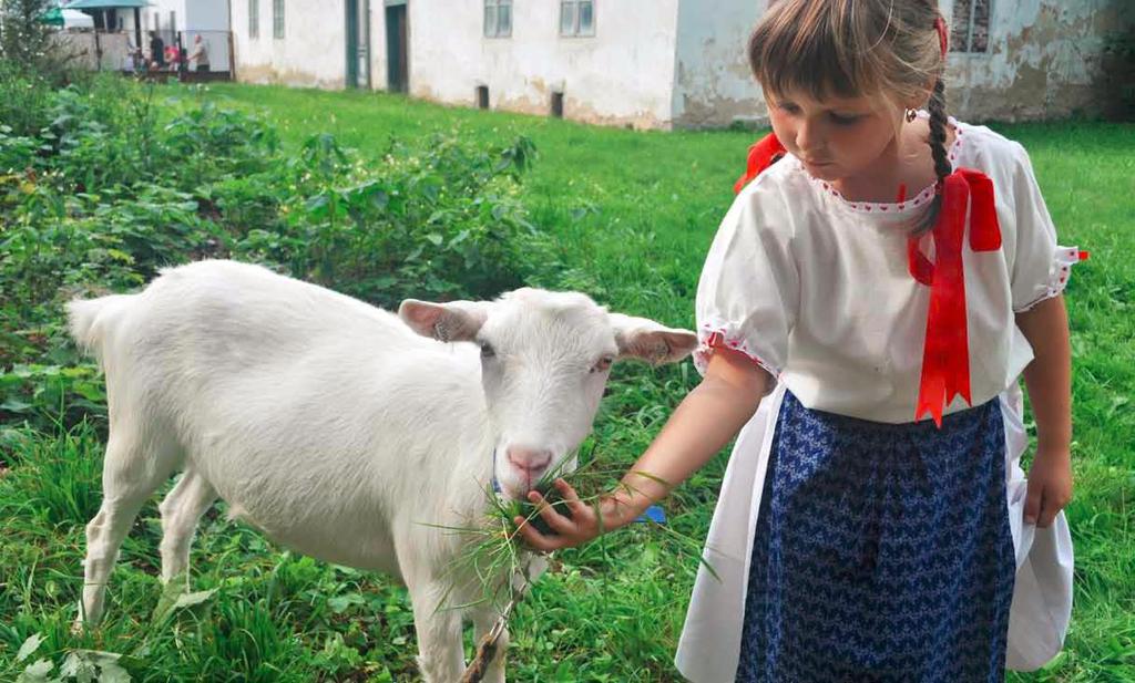 Současnost: značka působí již čtvrtý rok přes 60 vydaných certifikátů je reálným marketingovým nástrojem místní a farmářské trhy na Opavsku propojení na cestovní ruch