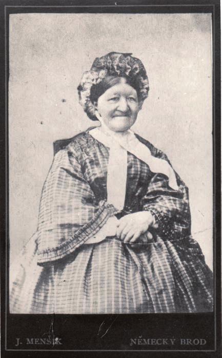 Antonín Špulák (1812? /po r. 1854/), východní Čechy (Hradec Králové?), 1846. Olejomalba na plátně 37 30 cm, rám 51,3 44,2 cm. NM, OSČD, inv. č. H2-186 986.