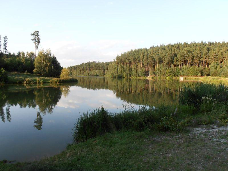 Letního a zimního oblečení /dámské, pánské,dětské/ Lůžkovin, prostěradel, ručníků, utěrek, záclon, Látky (minimálně 1m 2, prosíme, nedávejte nám odřezky a zbytky látek) Domácí potřeby-nádobí bílé i