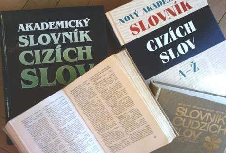 konsens = souhlas koordinace = uvádění v soulad kreativní = tvořivý leasing = pronájem menu = nabídka (soubor volitelných možností) open space = otevřený prostor outdoorové = venkovní percepce =