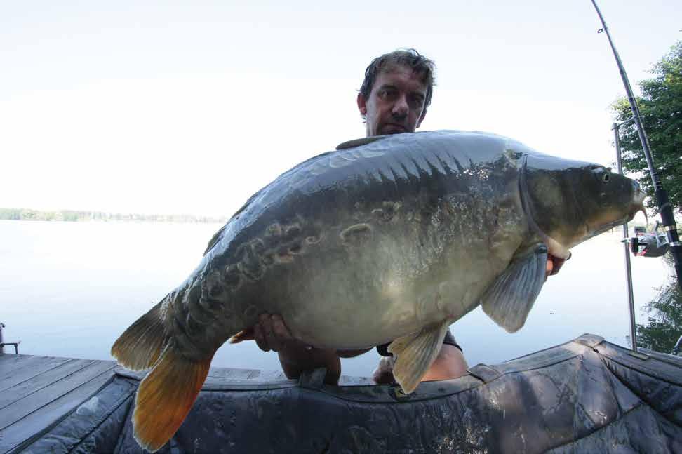 Protein Rychlé Line Chytání BOILIES řady PROTEN