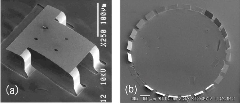 nanotrubičky ve tvaru srolovaného papíru