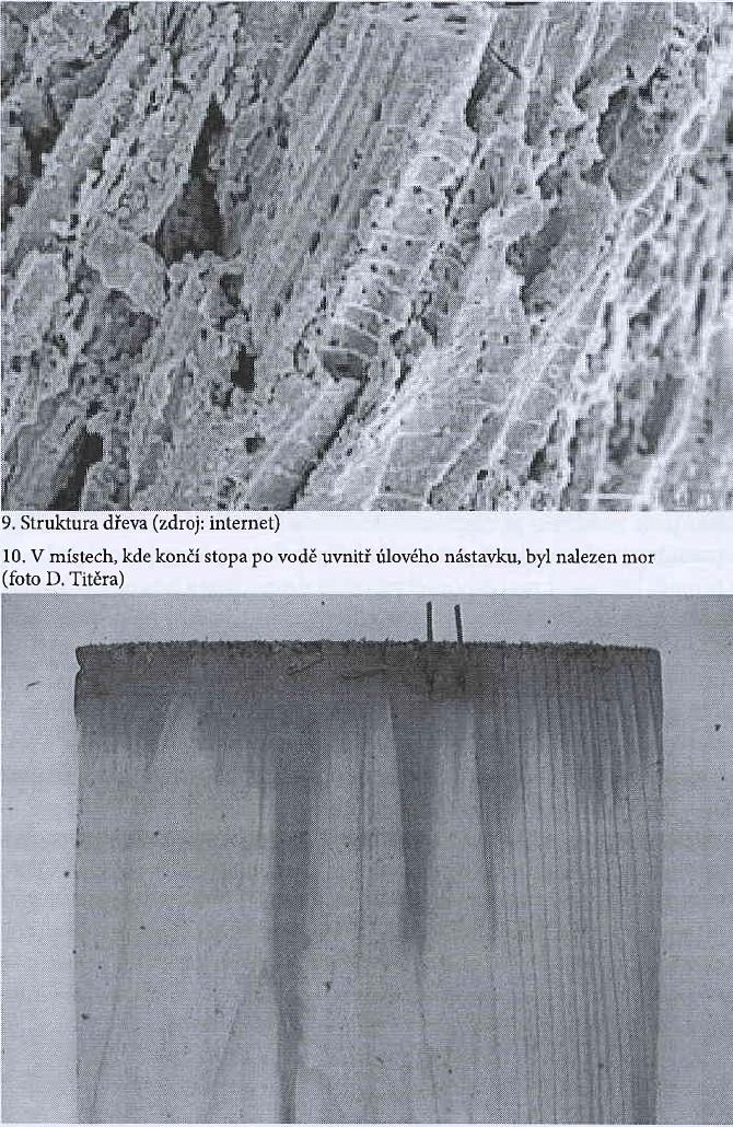 11.