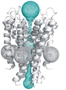 Hledání tunelů MOLE Atoms maps => Voronoi diagram http://mole.chemi.