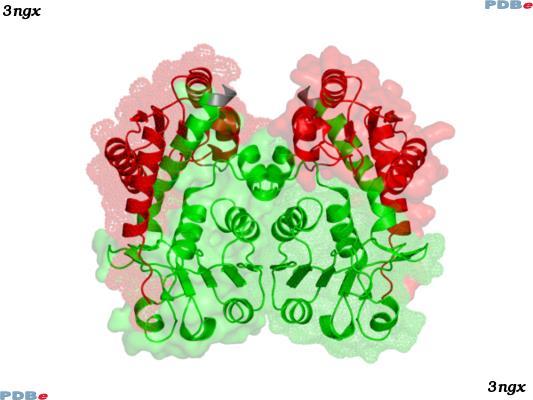 Function definition EC enzyme classification (4 levels of detail) Oxidoreductases (EC 1) substrate is a donor of hydrogen or electrons what substrate acceptor-type only enzymes 1 enzyme more