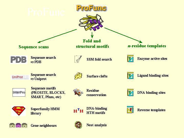 Function search - ProFunc http://www.