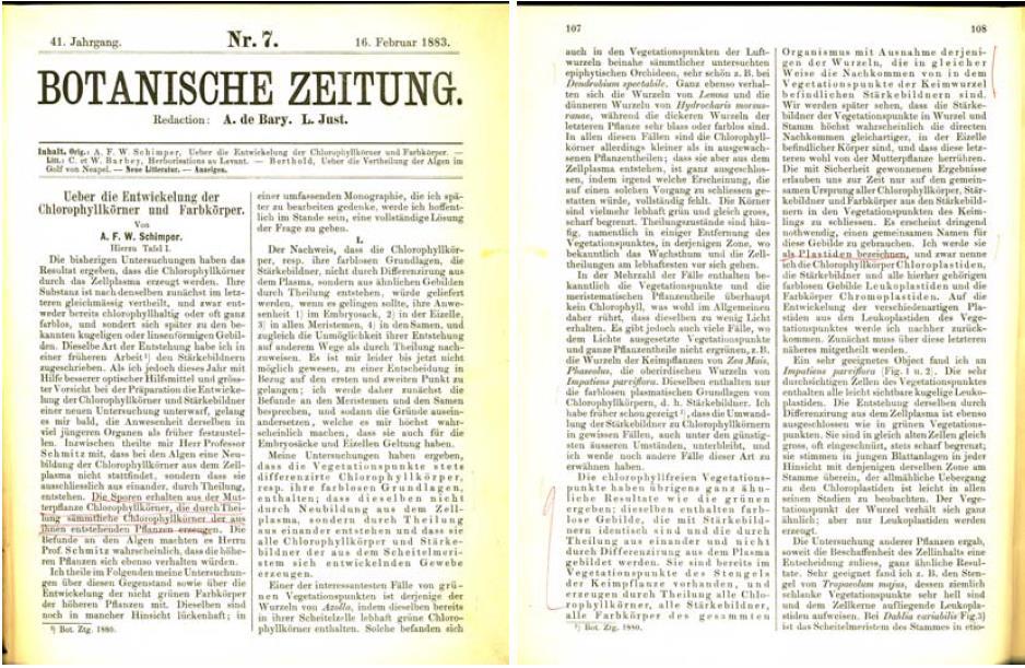 Andreas Franz Wilhelm Schimper (1856-1901) Použil poprvé slovo plastid, odvozené z řeckého Plastikos. Definice plastidů dle barvy. Popis vývoje plastidů z jejich prekurzorů.