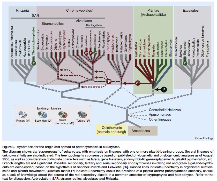 Current Biology 19,