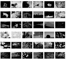Tisk přímo z pamět ové karty Toto zařízení umožňuje tisk fotografií přímo z pamět ové karty, aniž byste k tomu potřebovali počítač. Informace o tisku z počítače najdete v Referenční příručce.