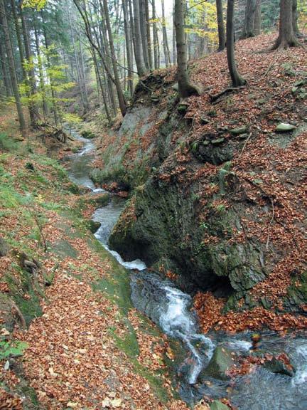 Řepiště u Frýdku-Místku se zřetelným