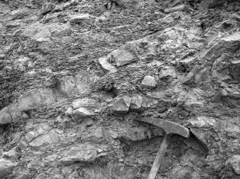 DISTRIBUCE ALKÁLIÍ V KARBONÁTOVÝCH HORNINÁCH LÍŠEŇSKÉHO SOUVRSTVÍ V PROSTORU MEZIDEPONIE VE VÝCHODNÍ ČÁSTI VELKOLOMU MOKRÁ (MORAVSKÝ KRAS) Alkali distribution in carbonate rocks of the Líšeň