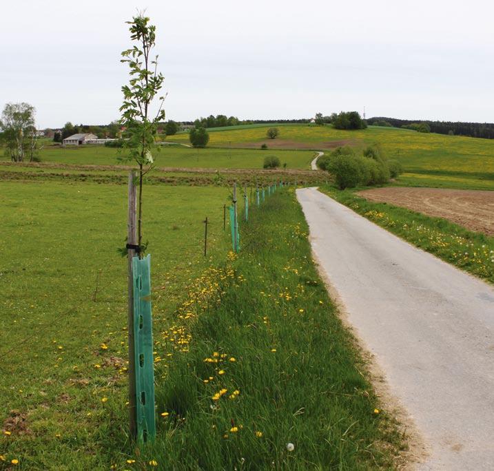 Účastníci si vyzkoušeli fotografování se studiovými blesky a práci se světlem. Výsledky jejich práce si můžete přijít prohlédnout na vernisáž výstavy dne 19. června 2015 v 17 hodin v zámecké kapli sv.