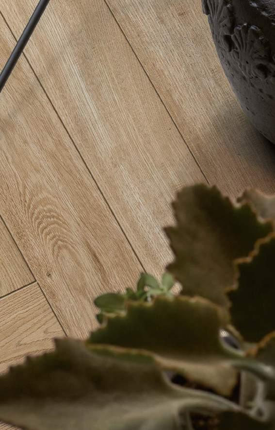 Treverkfusion Série Treverkfusion je inspirována různými druhy dřeva a vyznačuje se vysokým stupněm barvy a zjevných suků, které zvyšují dojem přesné reprodukce výchozích materiálů.