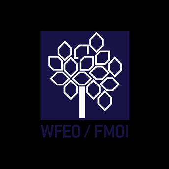 WFEO World Federation of Engineering Organization Světová federace inženýrských organizací Mezinárodní nevládní organizace se sídlem v Paříži Reprezentuje v celosvětovém měřítku inženýrskou profesi;
