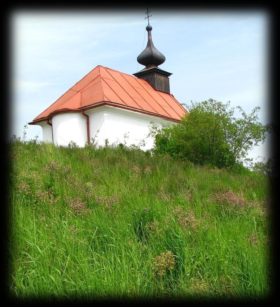 Přírodní