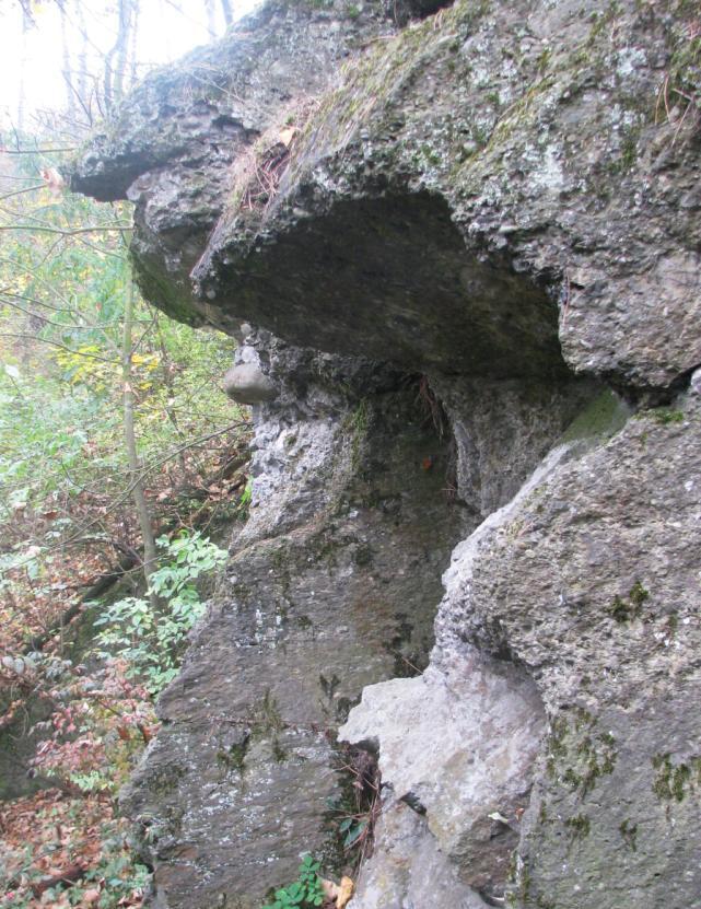 03 SLEPENCE Santon leţí v jiţním výběţku Drahanské vrchoviny pocházející z mladšího paleozoika, který zasahuje do Dyjsko-svrateckého úvalu tvořeného převáţně horninami neogenního stáří.