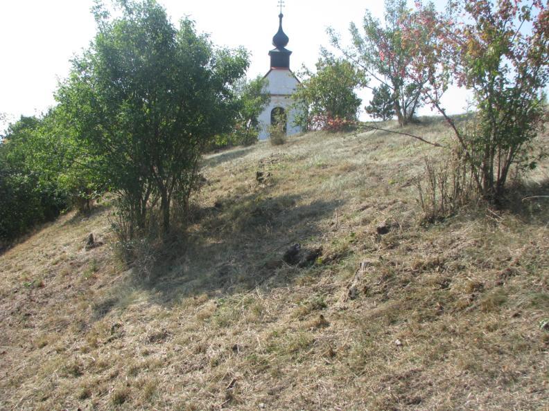 Z vrcholu nebývaly v době vegetace ani ţádné daleké výhledy do okolí jako je tomu dnes.