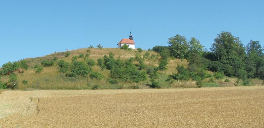 ku bílého, bezu černého nebo jasanu ztepilého) dřevin. Hlavní předměty ochrany přírodní památky jiţ byly na pokraji zániku nebo fatálně degradovány.