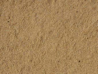 povrch písečného přesypu (duny).