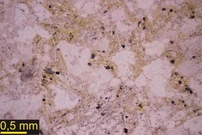 1 Makroskopický popis Makroskopicky lze horninu odebranou z opuštěného lomu u Pramenů (146C, 146D) popsat jako světlou, šedou až šedozelenou místy narůžovělou jemnozrnnou horninu granitoidního