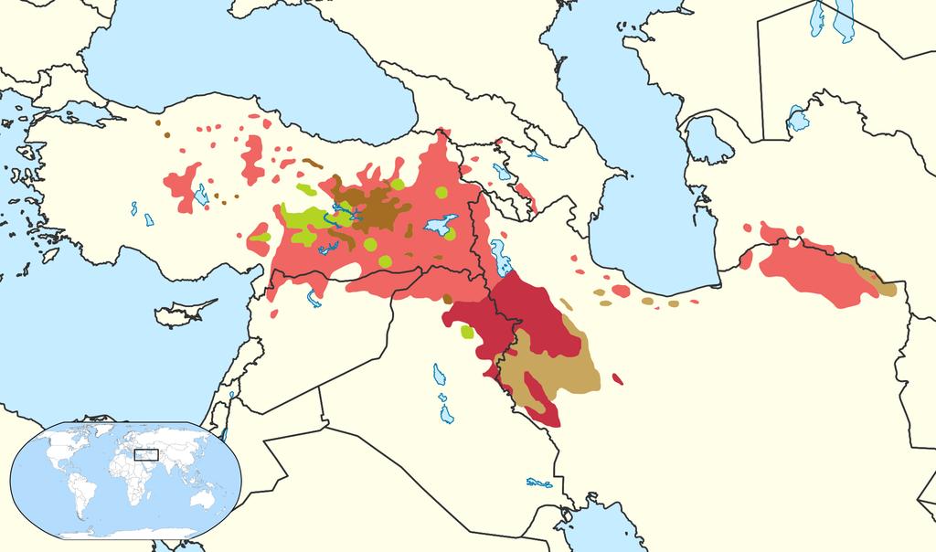 Vloži mapku s jazyky 1) Světle červená Kurmancî cca ¾ populace 2) Tmavě červená Sorani (cca