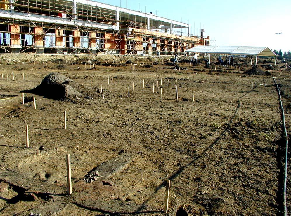 Ulice Průmyslová 8 Archeologický výzkum před rozestavěnou