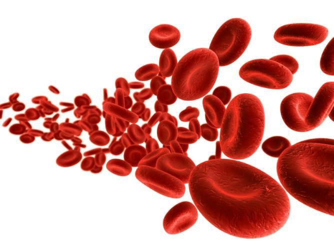 glykémia hladina glukózy v krvi, je regulovaná hormónmi (inzulín, glukagón, adrenalín, noradrenalín) refere č é hod oty v krvi: 4,5 5,5 mmol/l krvi = 0,8 1,1 g/l krvi po prijatí potravy dochádza k