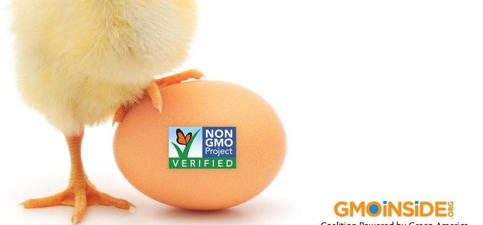 GMO free v ČR dobrovolné označování
