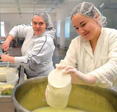 úpravě paznehtů, inseminaci, embryotransferu a analýze potravin.