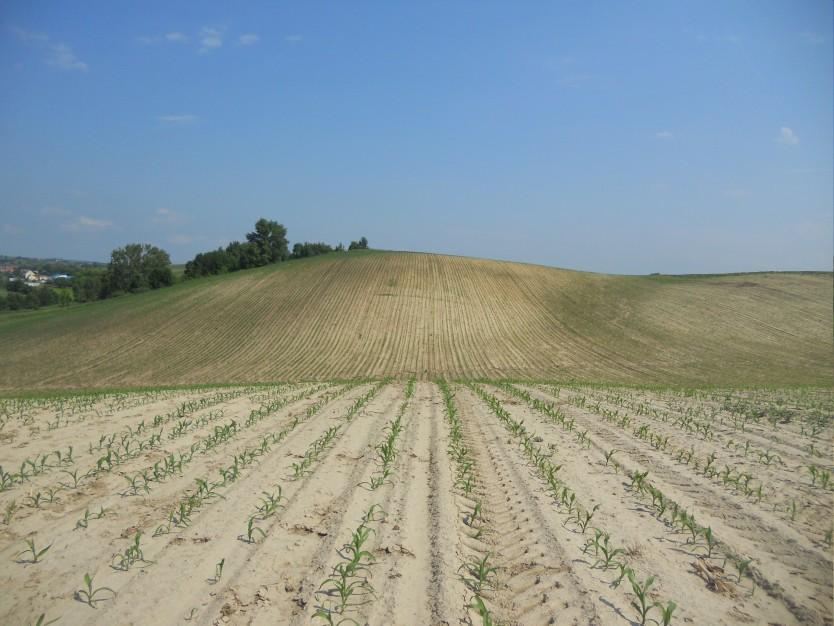 Půda závlahy - zasolování (od starověku), kontaminace toxickými nebo
