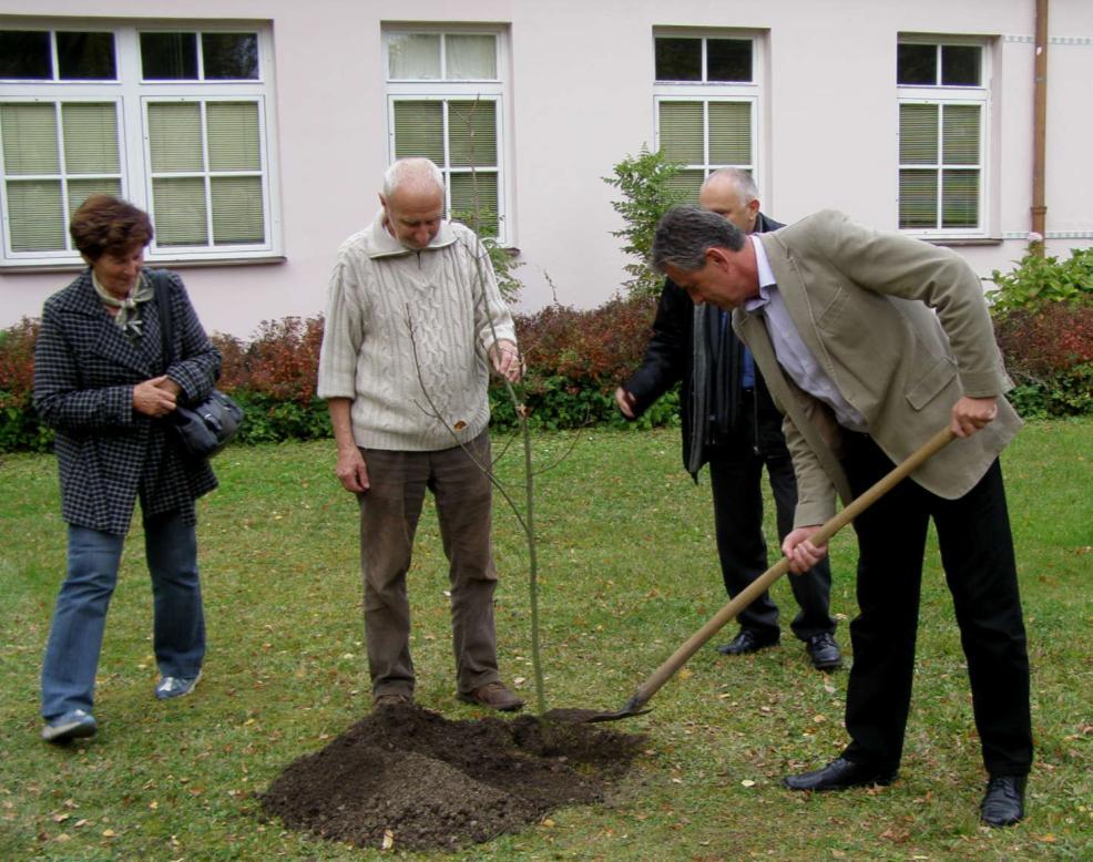 časný javor japonský dar Václava Větvičky