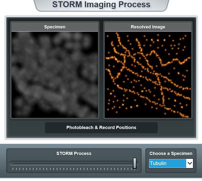 Ukázka metody STORM (Stochastic Optical Reconstruction Microscopy) https://www.