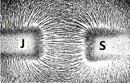 magnety