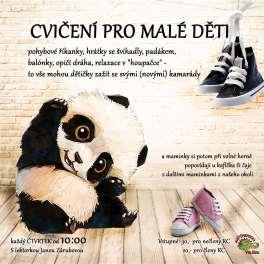 Pohybové cvičení pro děti Dětská jóga (PCs G) Pohybové cvičení pro předškolní děti bez rodičů (cca 4-7 let). Kombinace dětského aerobiku a dětské jógy s lektorkou Gabrielou Ingeli.