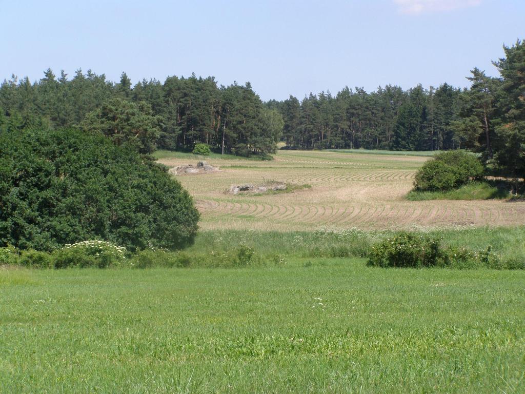 Faktor Klasifikace Specifikace Váha Poznámka Způsob využití 1 TTP 1 2 sady, vinice,