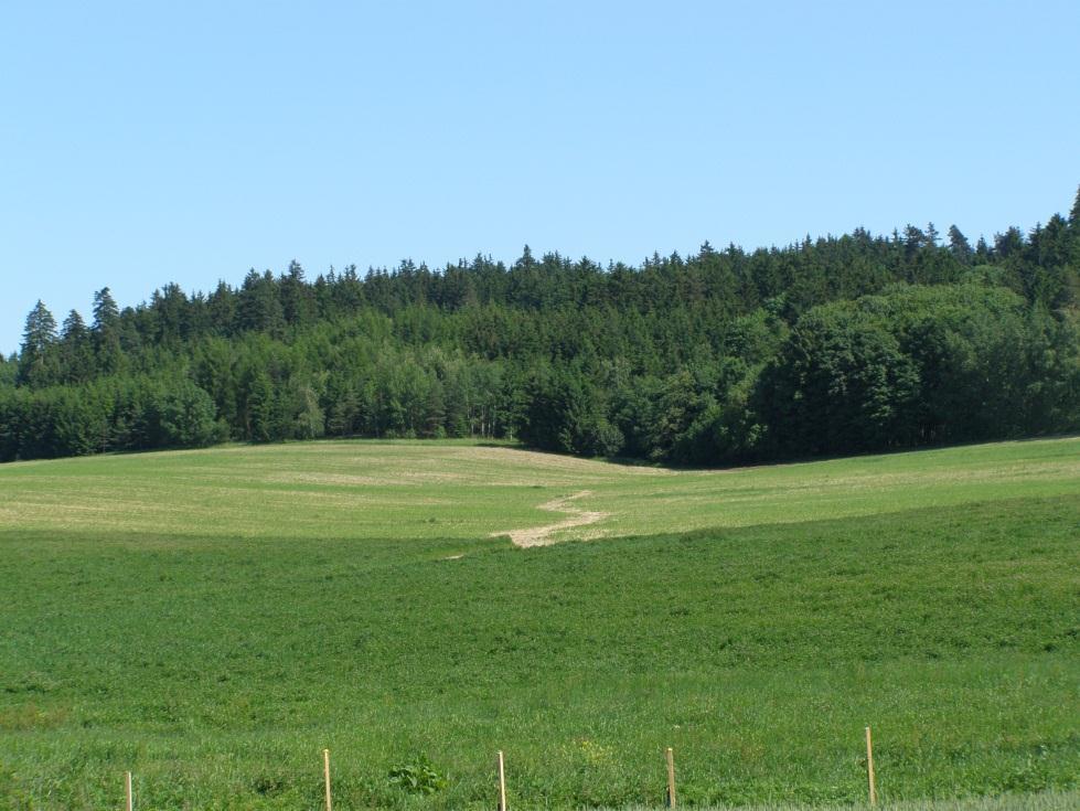 Faktor Klasifikace Specifikace Váha Poznámka Dráha soustředěného odtoku na pozemku 1 není 1 2 < 5 ha 2 3 5,1-10 ha 3 4 10,1 15 ha 4 5 > 15 ha 5