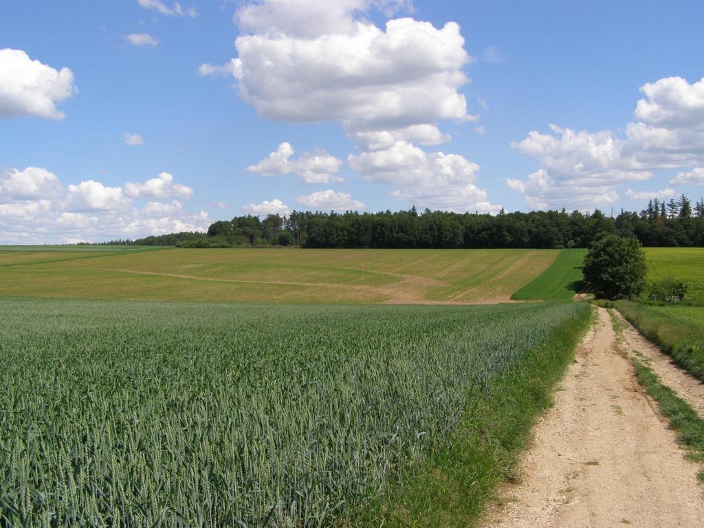 Děkuji za pozornost Jana Podhrázská