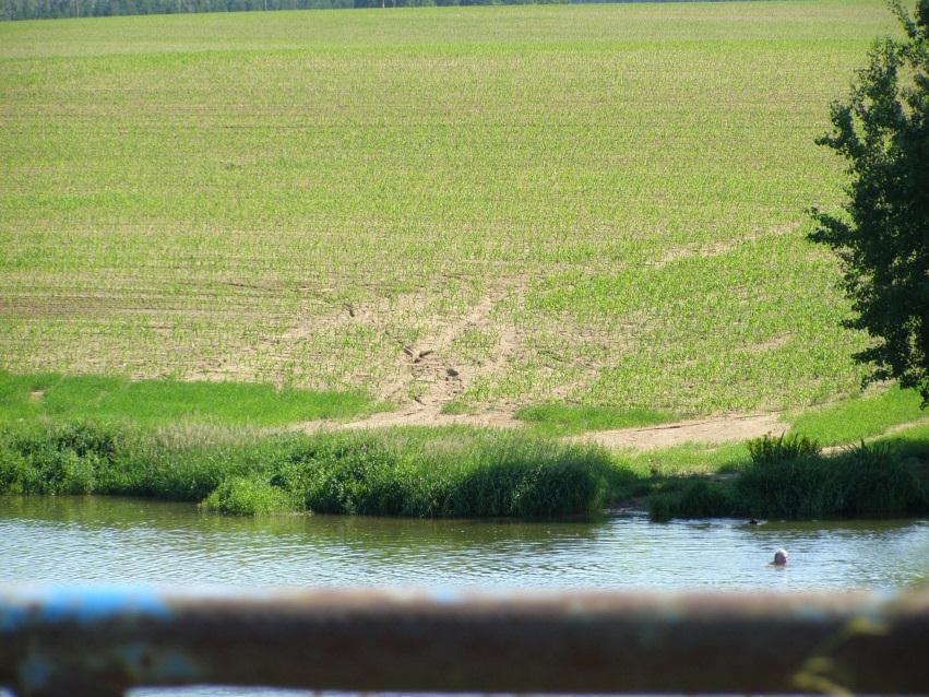 Faktor Klasifikace Specifikace Váha Poznámka Vzdálenost břehové hrany bloků zemědělské půdy od útvarů povrchových vod > 100 m 5,1-15 velmi vzdálené přiléhající 1 4 předpoklad - 100 m