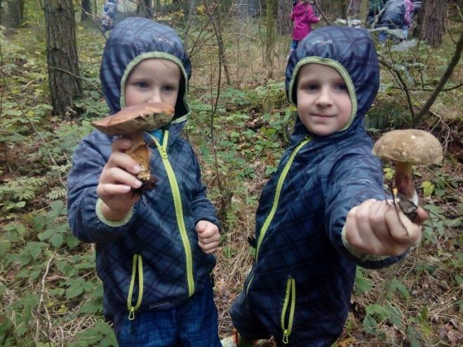 Také ve školce proběhl ekologický program s názvem - Příběh obilí, během tohoto programu jsme mleli mouku a dělali ovesné vločky, které jsme si pak