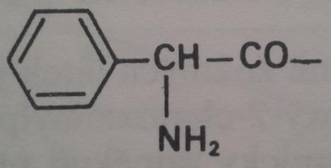 chloroformu, éteru, acetonu a v olejích je prakticky nerozpustitelný (Riedl, Vondráček 1980; Wenke, Mráz, Hynie 1984; Melichar 1987). Na obrázku 13 je znázorněn chemický vzorec ampicilinu. Obr.