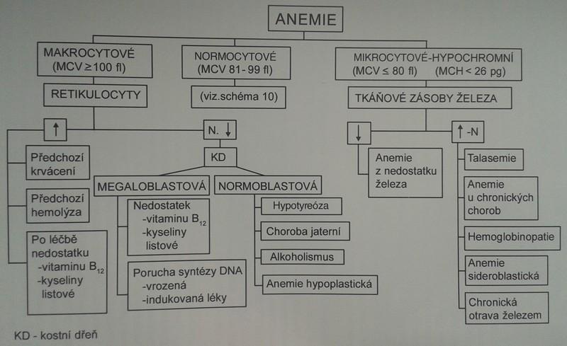 Obr. 31: Diagnostický postup při