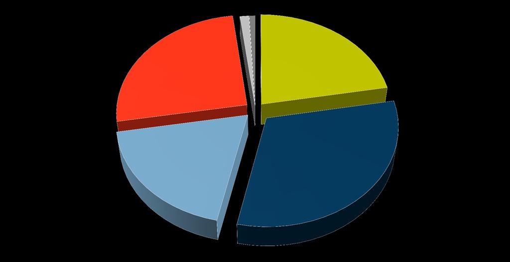 Mediální zastupitelství podíl na trhu (v %)
