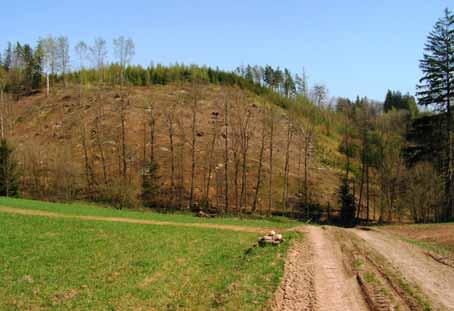 Obr. 3. Pohled na holý Vysoký kopec směrem od Rzů, současný stav. Foto: archiv autora.