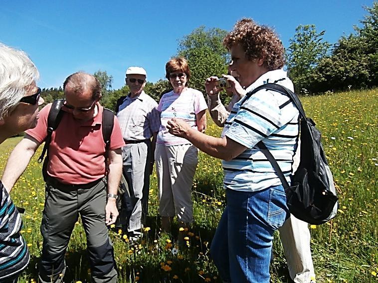 Na akci je třeba se objednat. Zaměření: venkovní,, pro místní obyvatele, místopisné, 7. 7. PO STOPÁCH ŠELEM 10.00 16.00 Vydejte se za poznáním šumavských šelem.