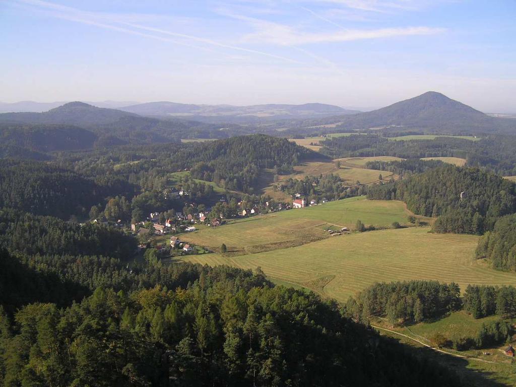 BOROVICE